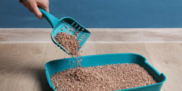 katzenstreu entsorgen