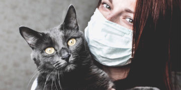 tiere fuer allergiker